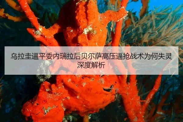 wu-la-gui-bi-ping-wei-nei-rui-la-hou-bei-er-sa-gao-ya-bi-qiang-zhan-shu-wei-he-shi-ling-shen-du-jie-xi-2-256.jpg
